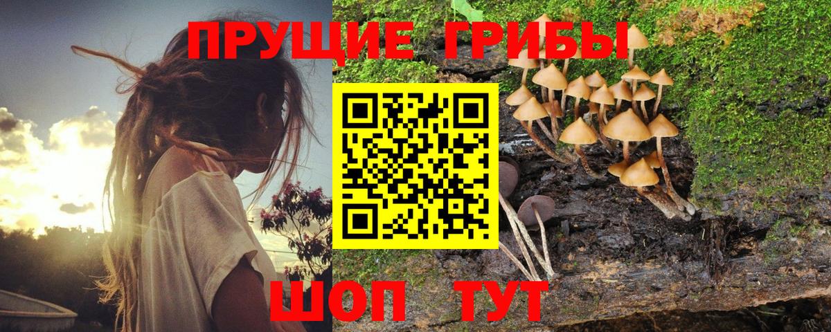 Галлюциногенные грибы Magic Shrooms Ухта
