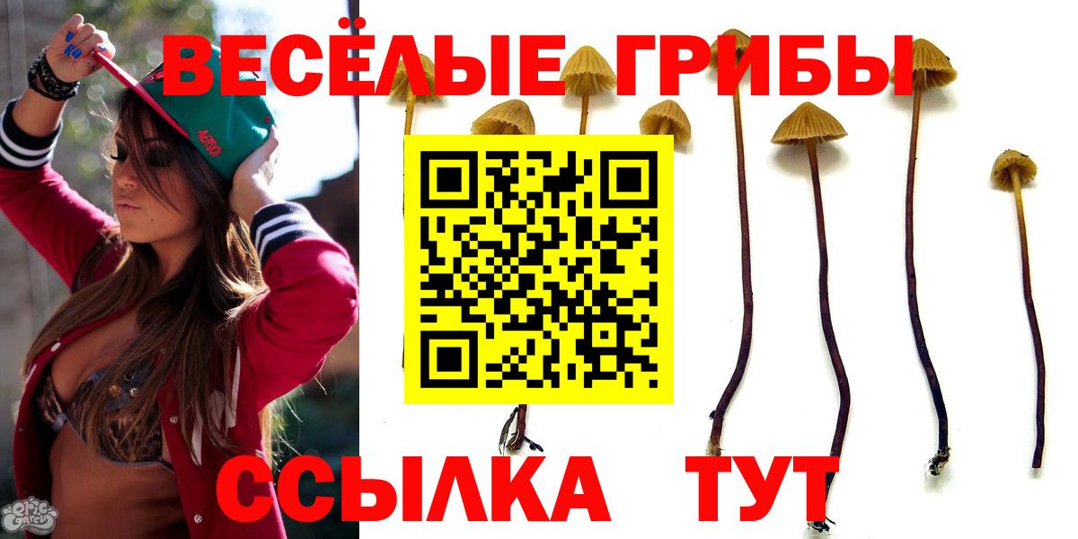 Псилоцибиновые грибы мухоморы  Галлюциногенные грибы ЛСД  Ухта  купить наркоту  Вход с VPN 
